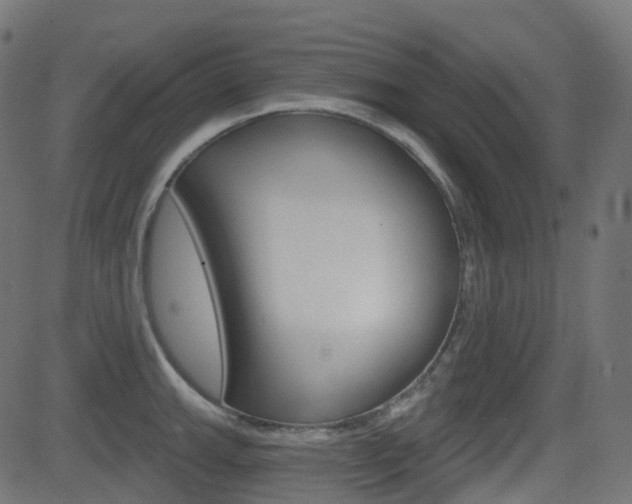 X0000081621143200701151048