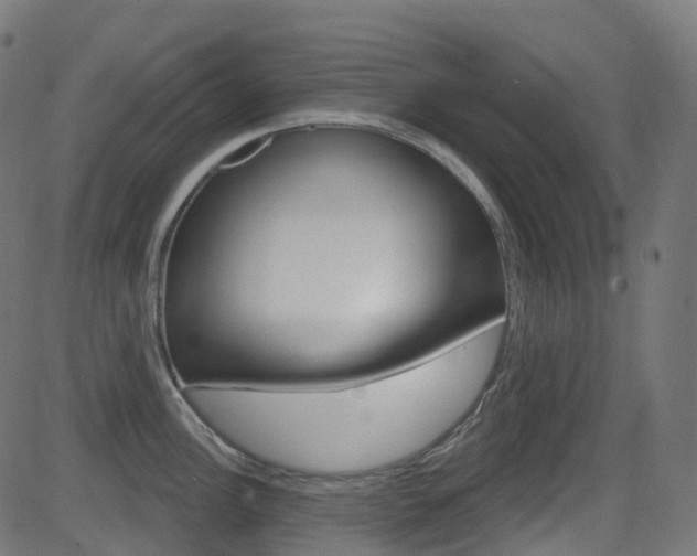 X0000081621148200701151048