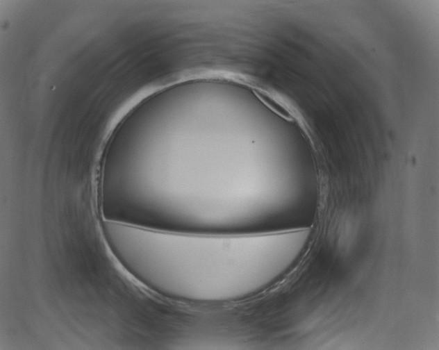 X0000081621151200701151048