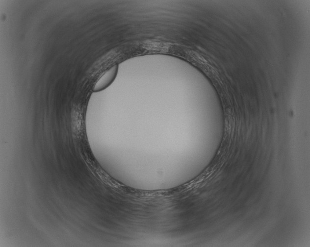 X0000081621154200701151047