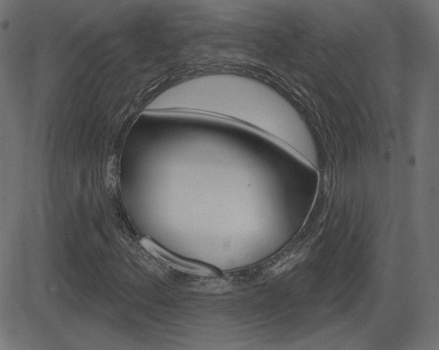 X0000081621156200701151047