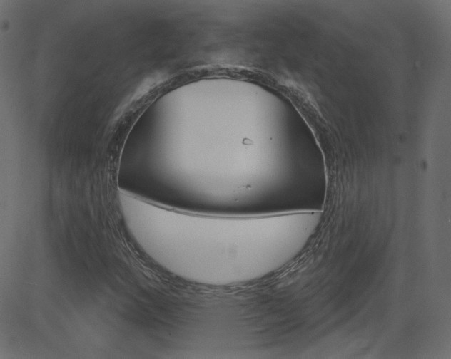 X0000081621159200701151047