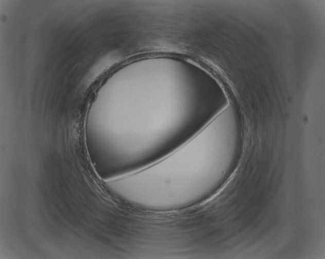 X0000081621163200701151047