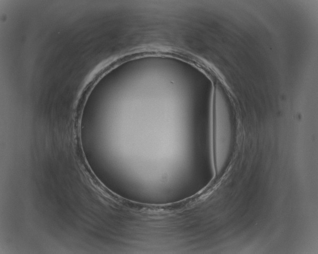 X0000081621168200701151047