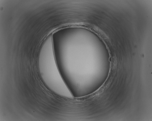 X0000081621169200701151047