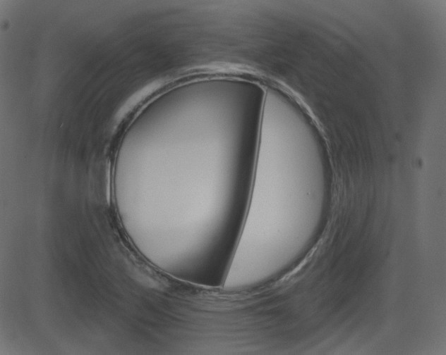 X0000081621171200701151047