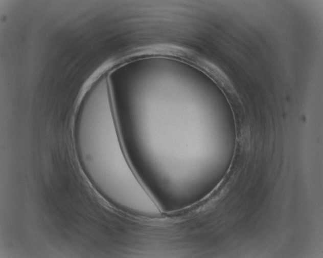 X0000081621180200701151047