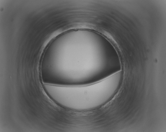 X0000081621181200701151047