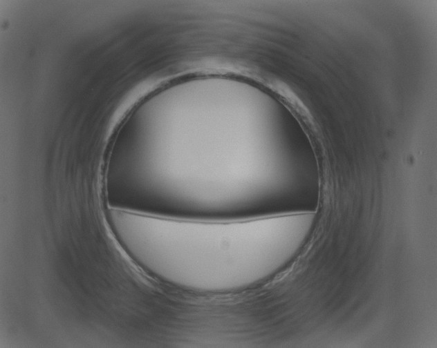 X0000081621183200701151047