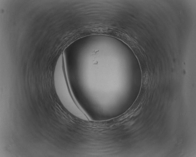 X0000081621202200701151046