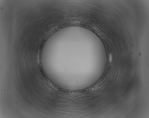 X0000081621203200701151046