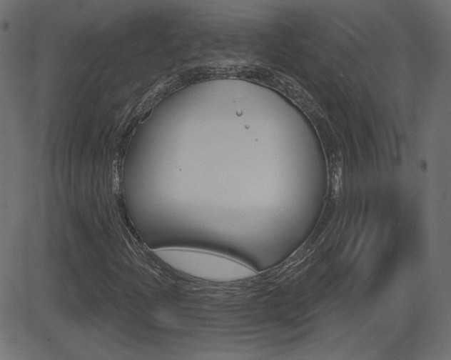 X0000081621204200701151046