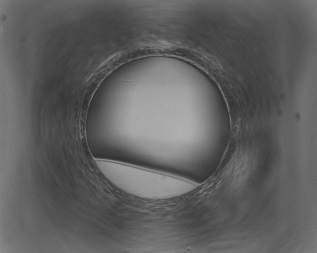 X0000081621205200701151046