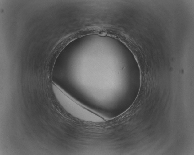 X0000081621206200701151046