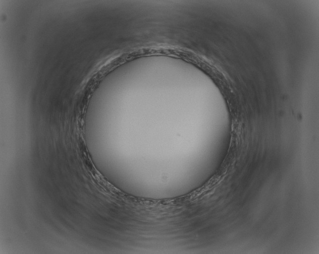 X0000081621207200701151046