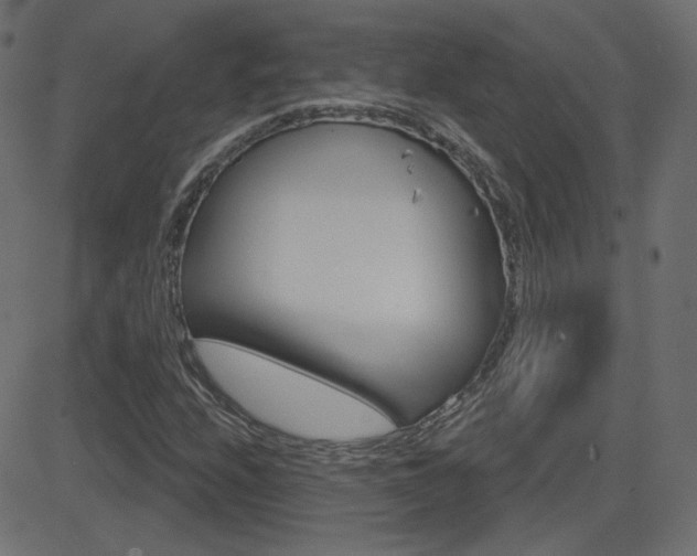 X0000081621208200701151046