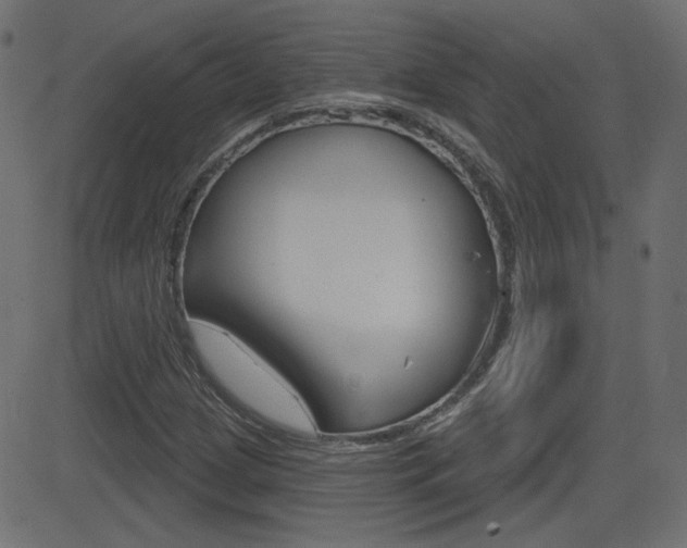X0000081621209200701151046