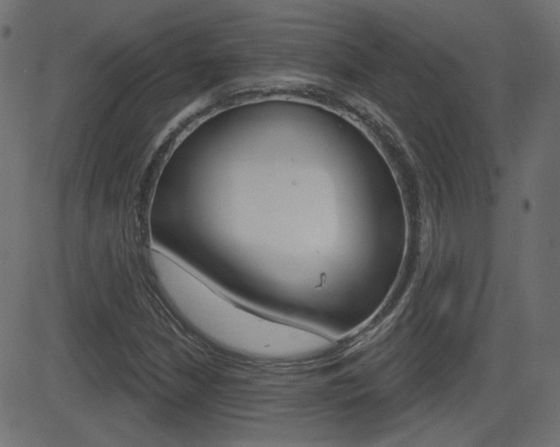 X0000081621210200701151046