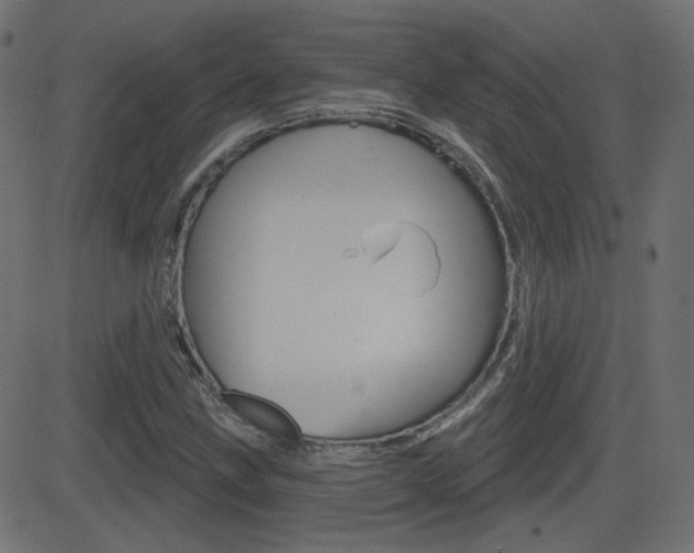 X0000081621211200701151046
