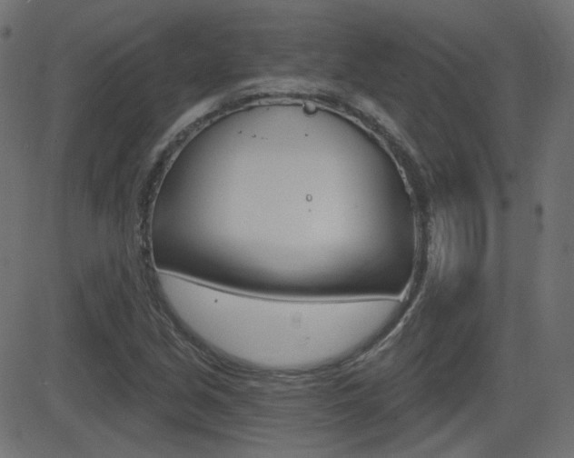 X0000081621213200701151046