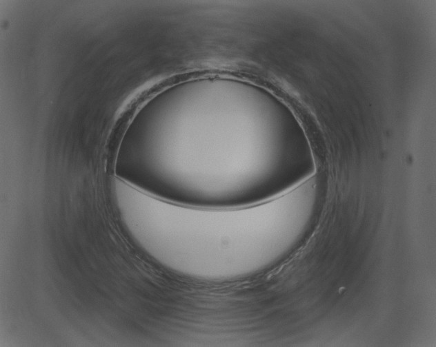X0000081621214200701151046