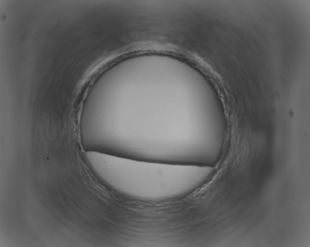 X0000081621215200701151046