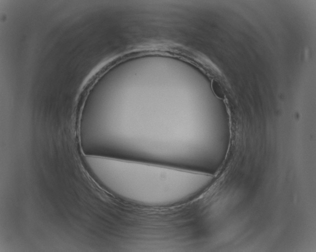 X0000081621216200701151046