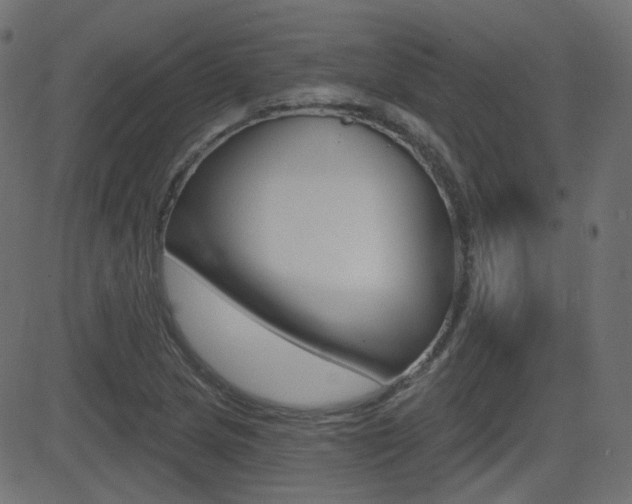 X0000081621217200701151046