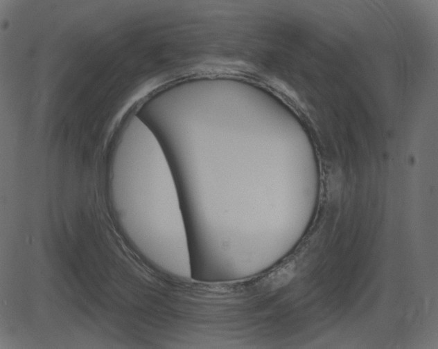 X0000081621219200701151046