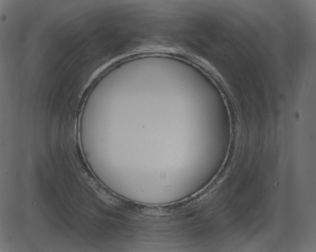 X0000081621220200701151046