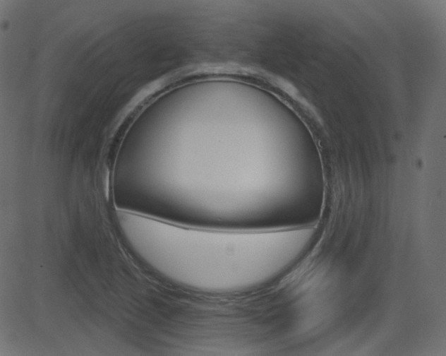 X0000081621221200701151046