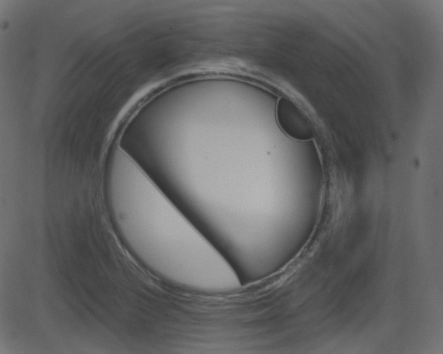 X0000081621224200701151046
