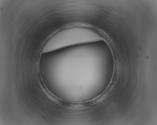 X0000081621225200701151046