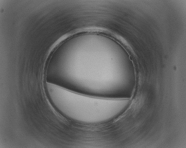 X0000081621229200701151046