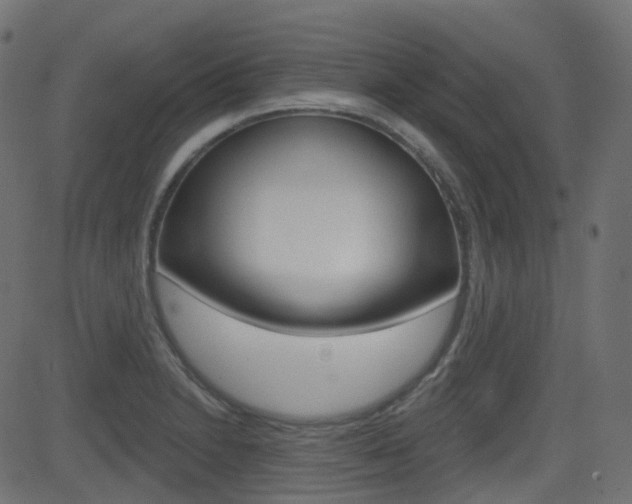 X0000081621230200701151046