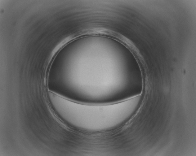X0000081621234200701151046