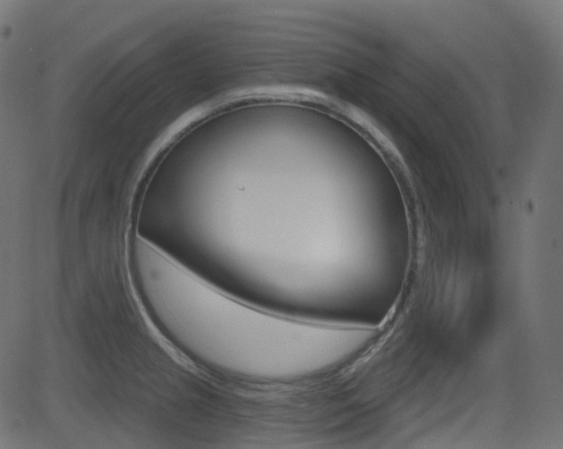 X0000081621237200701151046