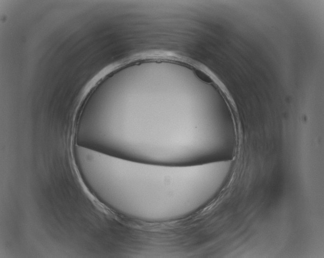 X0000081621245200701151047