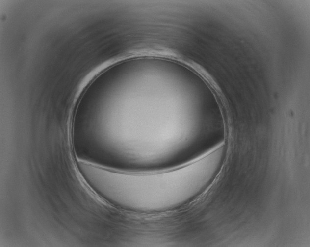 X0000081621246200701151047
