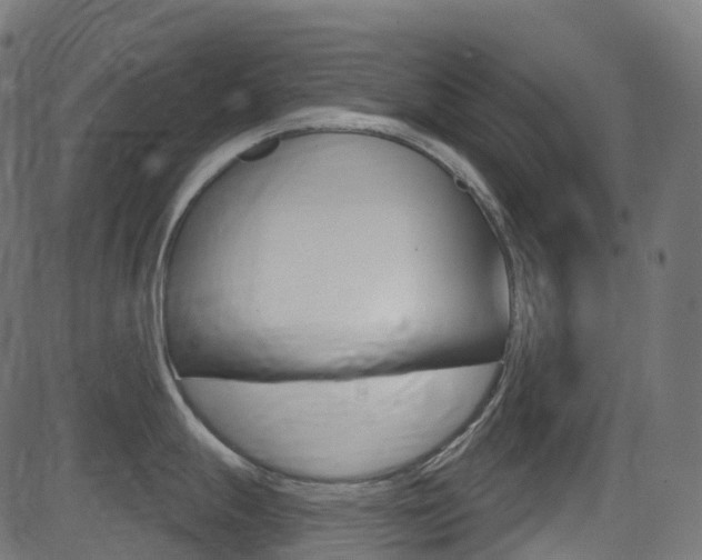 X0000081621247200701151047