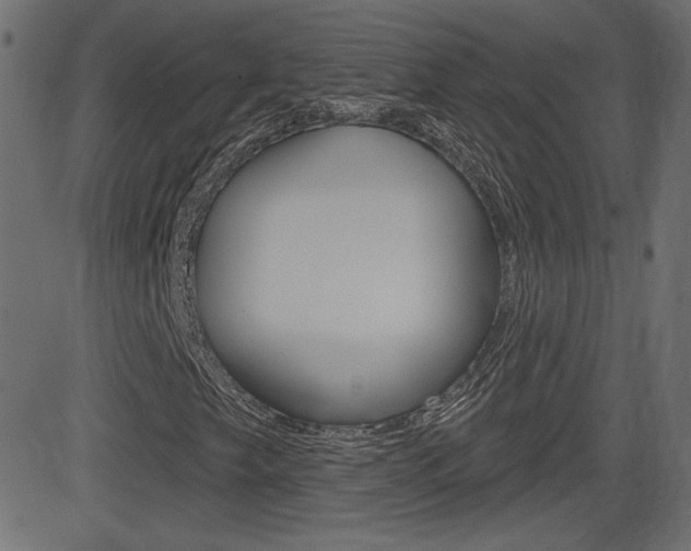 X0000081621249200701151046