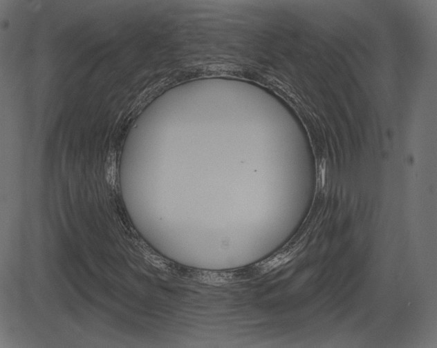 X0000081621251200701151046