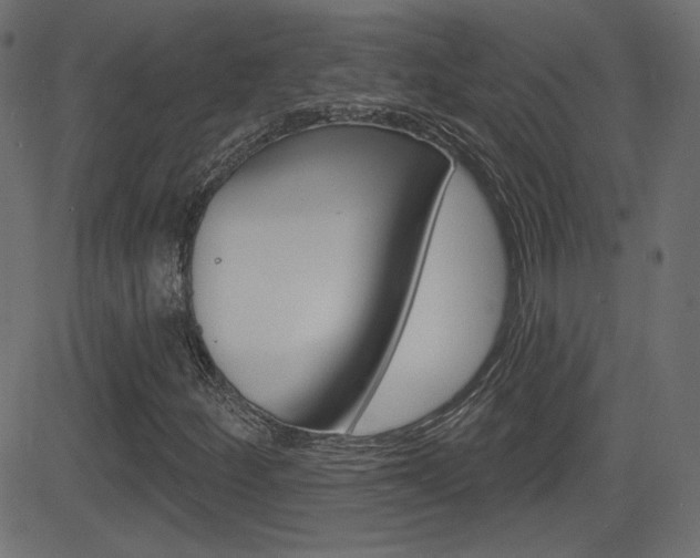 X0000081621252200701151046