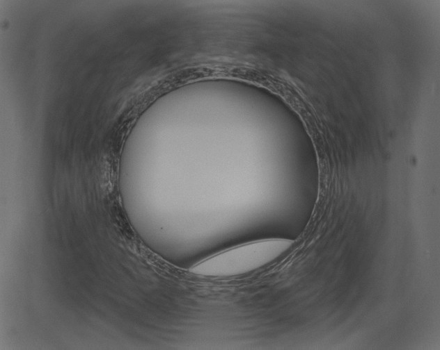 X0000081621253200701151046