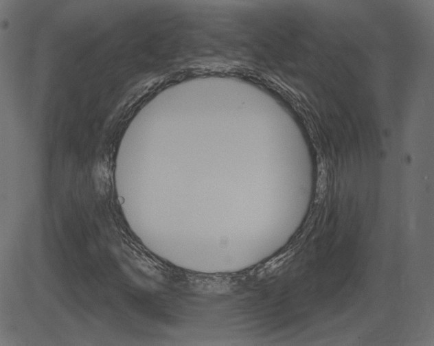 X0000081621254200701151046