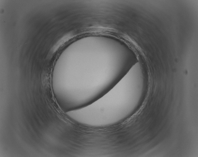 X0000081621259200701151046