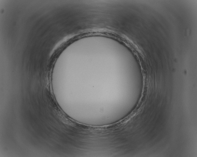 X0000081621262200701151046