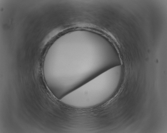 X0000081621263200701151046