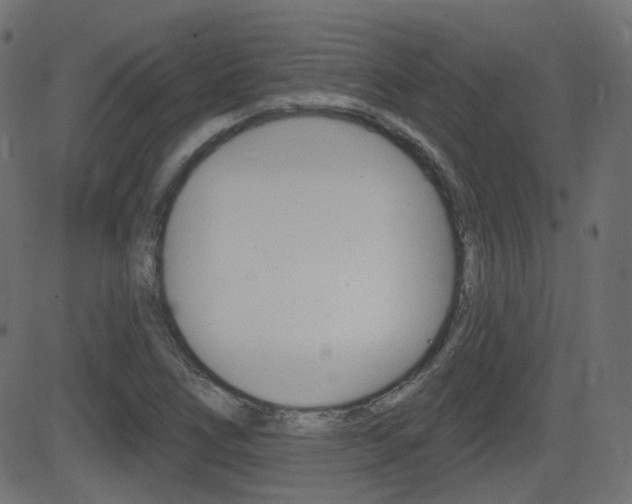 X0000081621266200701151046