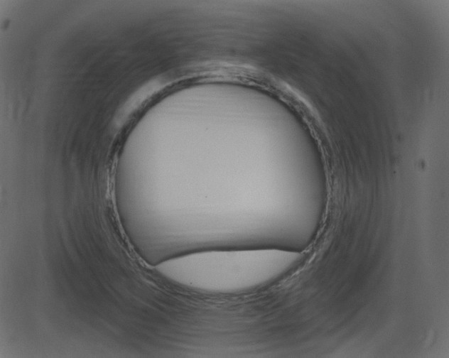 X0000081621267200701151046